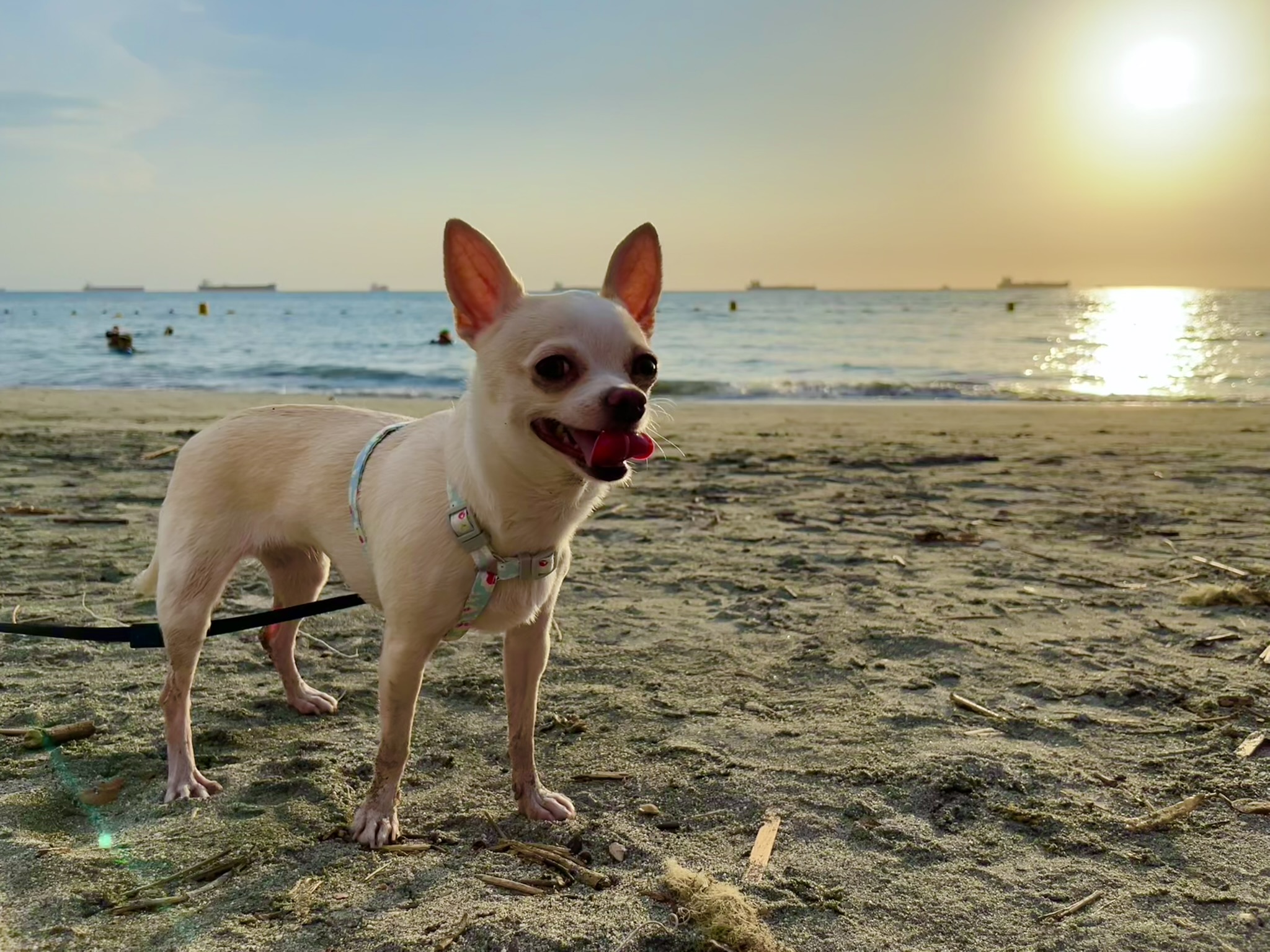 Lupe disfrutando de la playa en Santa Marta 🇨🇴