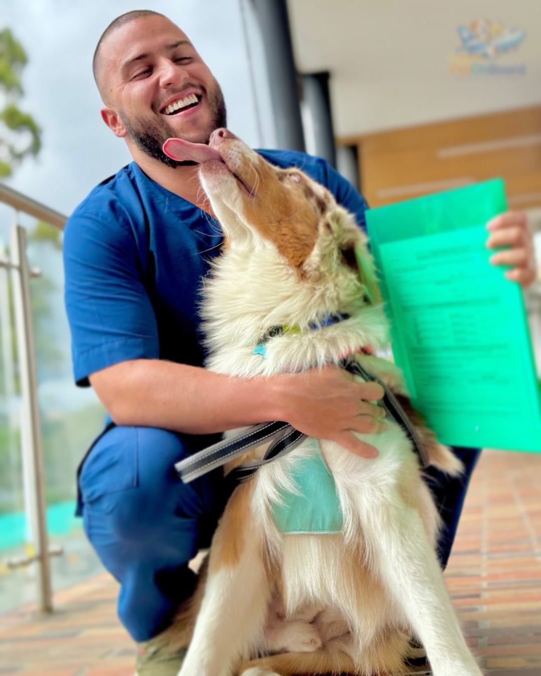 Mapple con su documentación completa para viajar a Europa